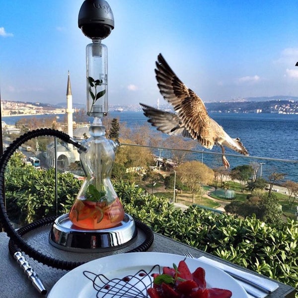 Photos à Lulu Hookah Lounge Bar à chicha à Pürtelas Hasan Efendi