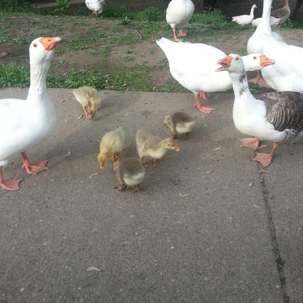 Putnam Landing Park Park