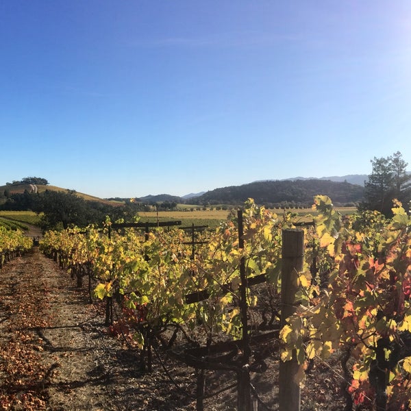 Photo taken at Kenwood Vineyards by Chris D. on 11/7/2015