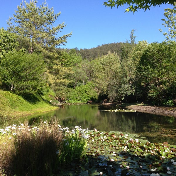 Photo taken at Quarryhill Botanical Garden by Austin P. on 4/20/2013