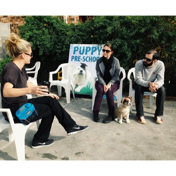 phone number for groomingdales