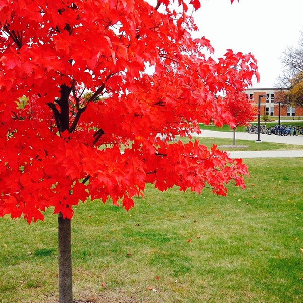 Das Foto wurde bei Central Michigan University von Britton D. am 10/28/2013 aufgenommen