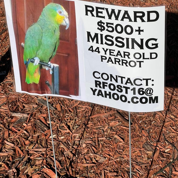 Bagel Boys Cafe Perimeter Center 6355 Peachtree Dunwoody Rd