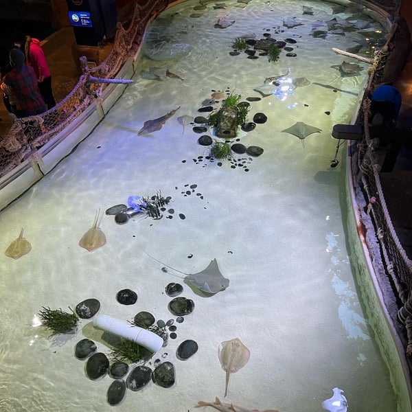 Foto diambil di SEA LIFE Minnesota Aquarium oleh Marco C. pada 1/9/2022