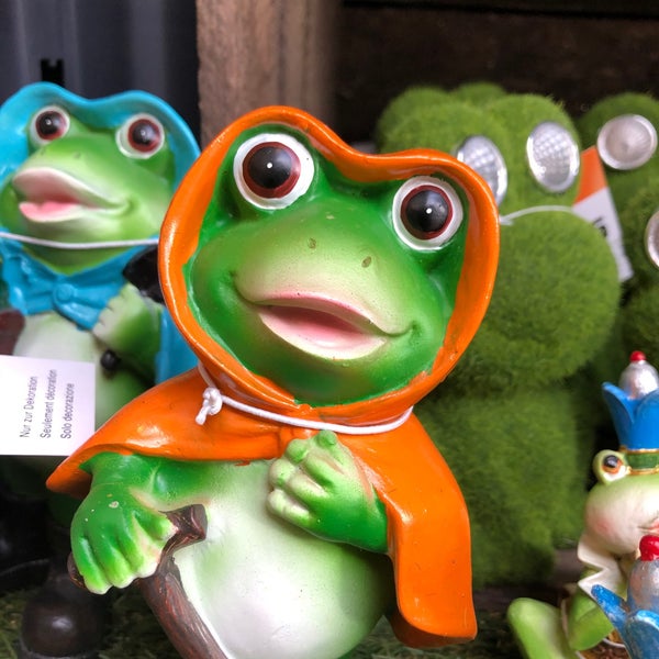 Migros Do It Garden Carouge Geneve