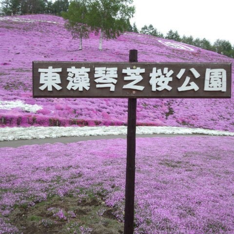 東藻琴 芝 桜 公園