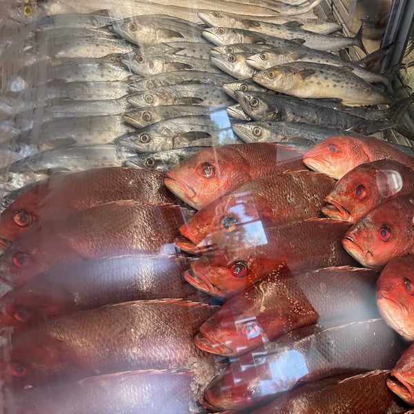 Safe Harbor Seafood Market - Fish Market
