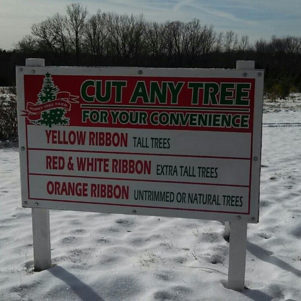 Kodys Tree Farm Endicott, NY