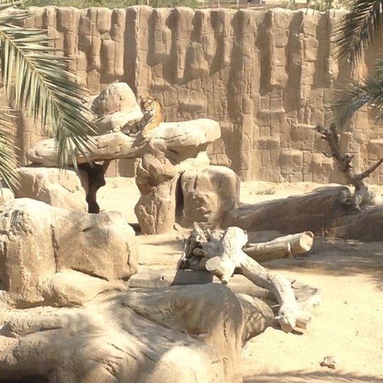 Photos at Al Ain Zoo & Aquarium Al Ain