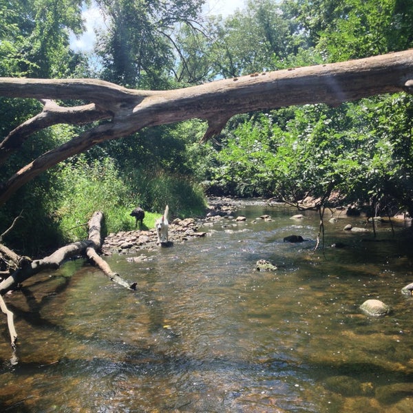 Tyler Creek Forest Preserve Hiking Trail in Elgin