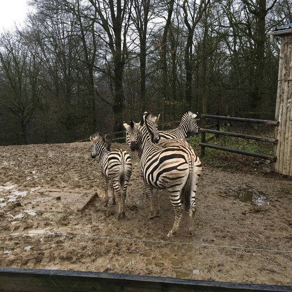 Photos à Parc Animalier de Bouillon Zoo à Bouillon