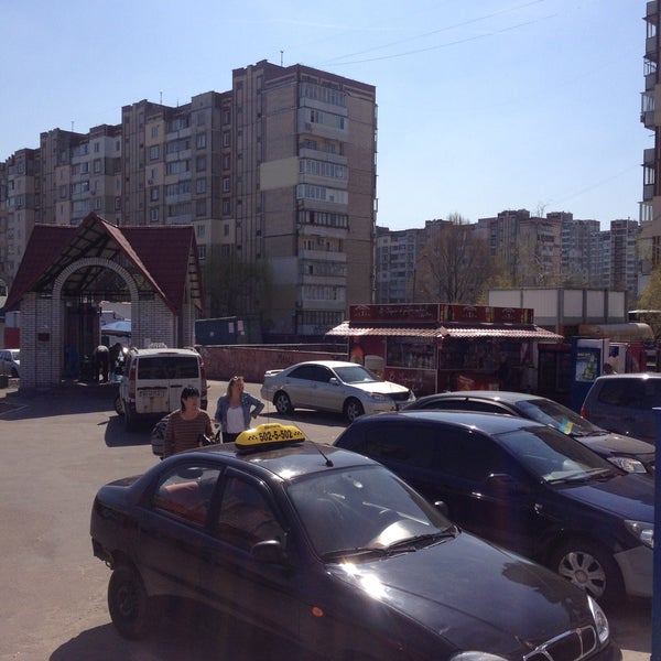 Каштановая аллея новый оккервиль. Каштановая аллея кудрово. Каштановая 3 кудрово. Каштан конский умбракулифера. Каштановая 3.