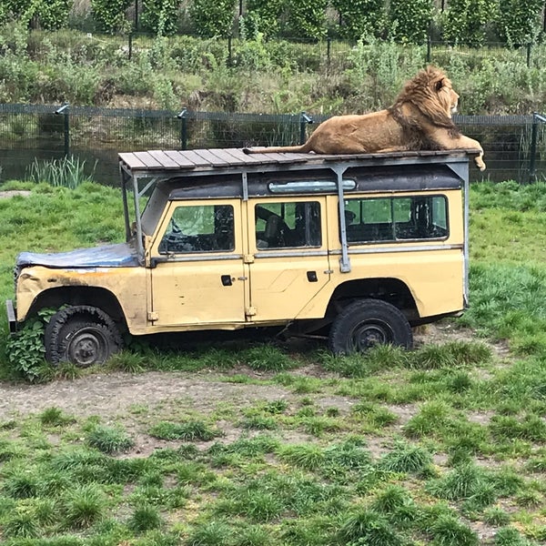 Photo taken at Zoo Parc Overloon by Marco v. on 4/29/2019