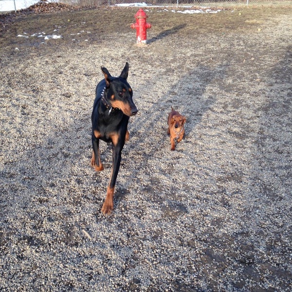 South Euclid Dog Park Dog Park in Cleveland