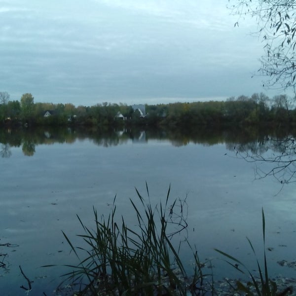 Яхонты озеро. Квартал яхонтовый лес ногинск. Яхонтовый лес люкс. Яхонты ногинск беседки. Ногинск леса.