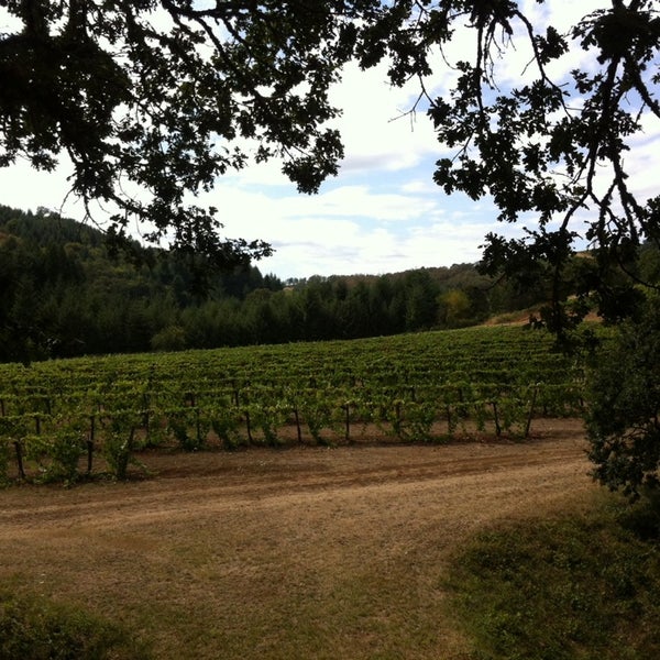 Foto tirada no(a) Yamhill Valley Vineyards por Mark S. em 8/21/2014