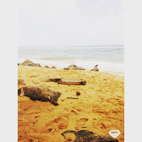 Photos at Galle Road Bambalapitiya Road in Bambalapitiya