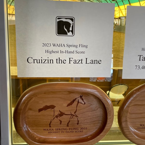 Sunflower Farms Bristol, WI