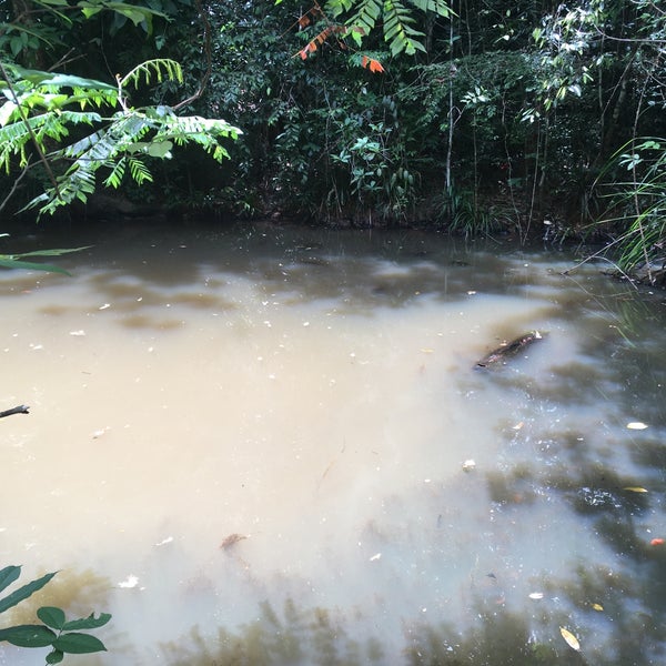 Снимок сделан в Tub Kaek - Khao Ngon-Nak Nature Trail пользователем Evgeniy K. 5/9/2021