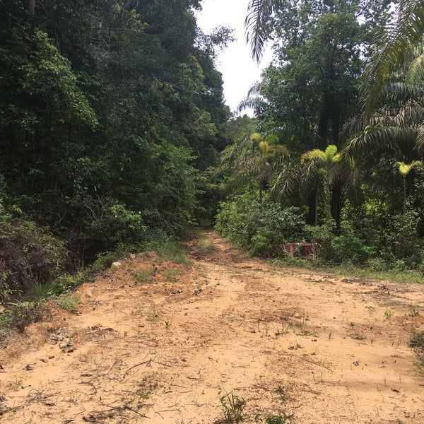 Снимок сделан в Tub Kaek - Khao Ngon-Nak Nature Trail пользователем Evgeniy K. 5/9/2021