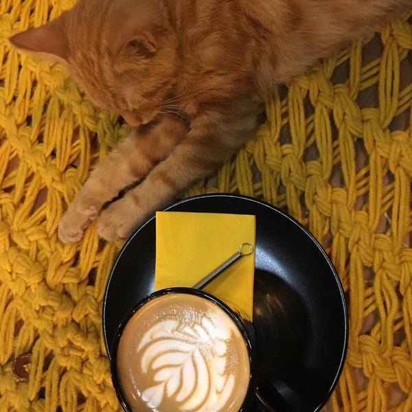 Photo taken at True Specialty Coffee by Esra Ö. on 12/5/2017