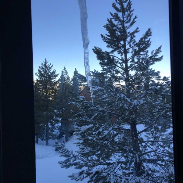 1/8/2022にJerry B.がTahoe Donner Ski Resortで撮った写真