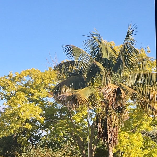 The Engine Room Northcote 115 Queen St