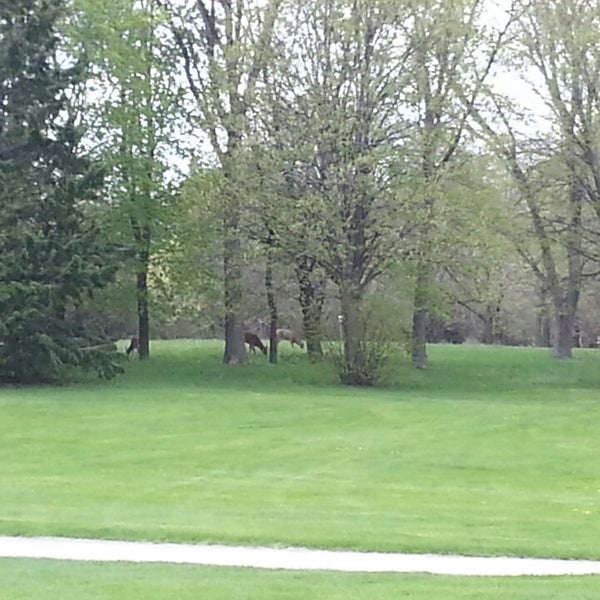 Currie Park Golf Course 9 tips