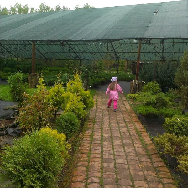 Дендропарк
