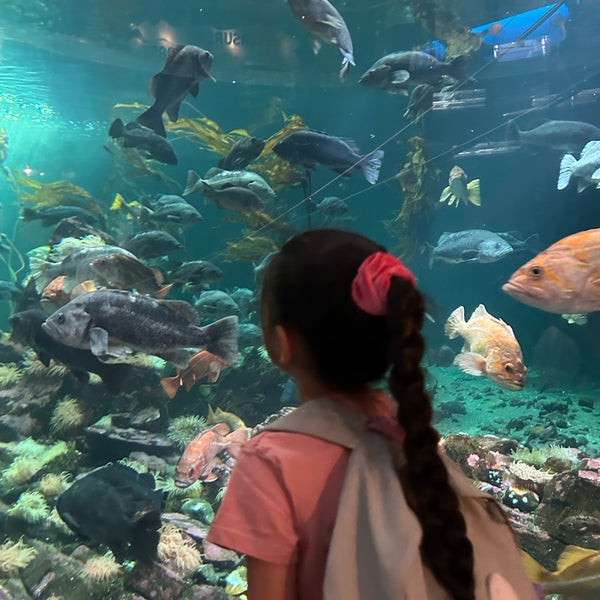 5/19/2023にDilara 🐰がVancouver Aquariumで撮った写真
