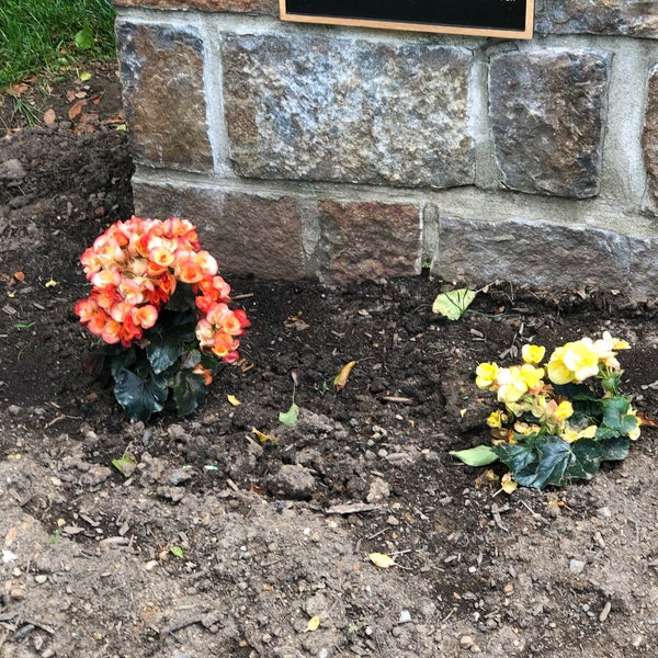 Photos at Rose Garden Park in Westside