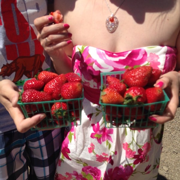 strawberry stands near me strawberry stands near me