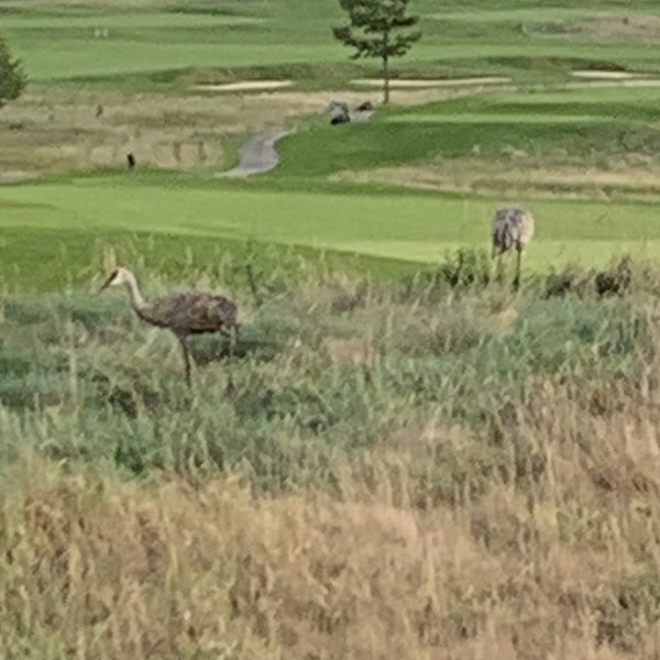 Foto tirada no(a) Washington County Golf Course por Carl W. em 9/7/2020