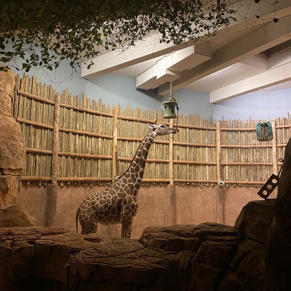 12/28/2023 tarihinde Rita W.ziyaretçi tarafından Lincoln Park Zoo'de çekilen fotoğraf