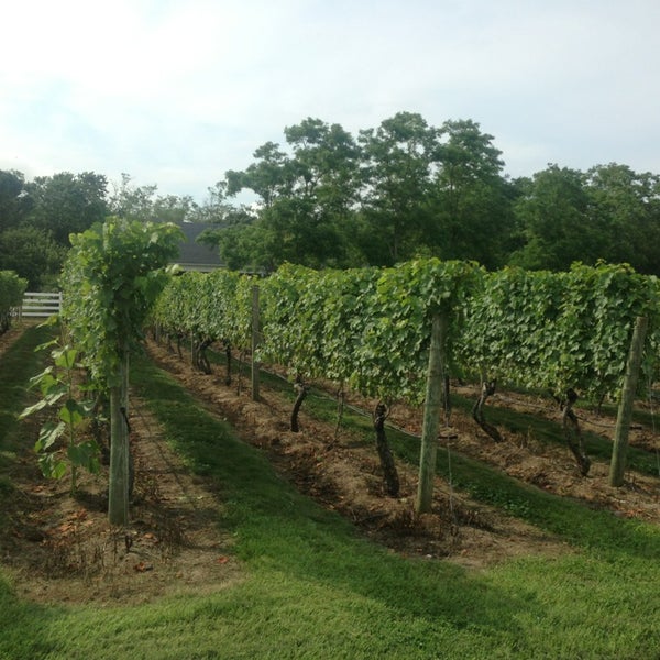 Truro Vineyards of Cape Cod 38 tips