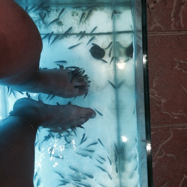 Photos At Limburi Hometel Pathong Phuket Thanon Ratuthit - 