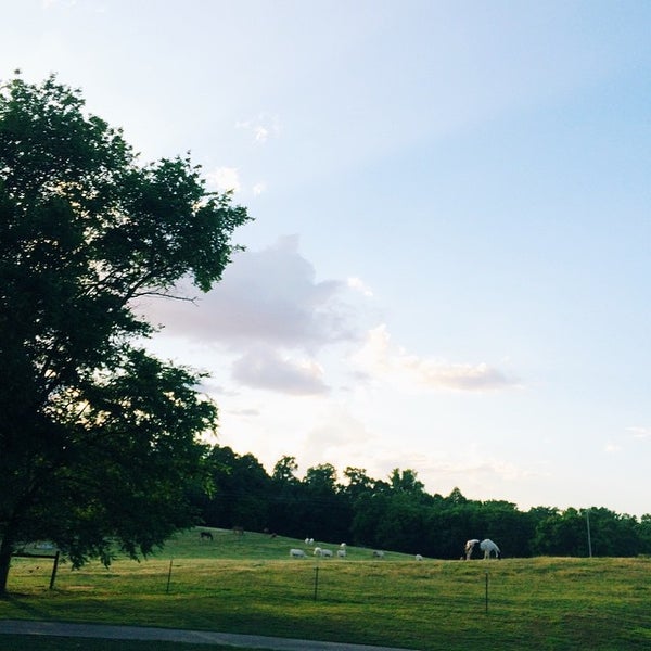 Photo taken at Anne Springs Close Greenway by Emily L. on 5/31/2015
