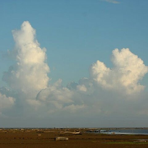 Photos At Kuala Baram Miri Sarawak