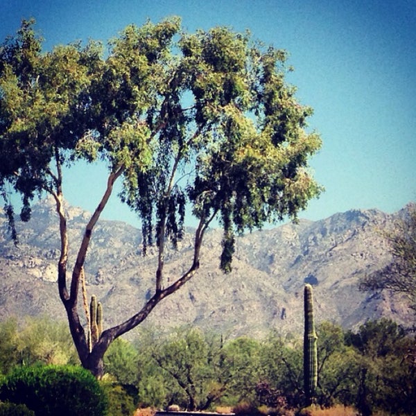Das Foto wurde bei Canyon Ranch in Tucson von Billy L. am 7/26/2014 aufgenommen