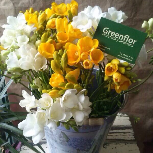 Photo taken at Greenflor by Pol H. on 3/6/2014