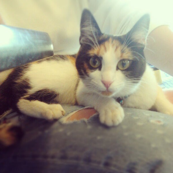 Photos at Soap Suds Coin Laundry 4211 N Main St