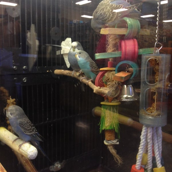Photos at PetSmart Pet Supplies Store in Markham