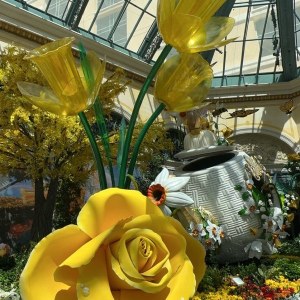 Снимок сделан в Bellagio Conservatory &amp; Botanical Gardens пользователем Ghaida✨ 4/15/2024