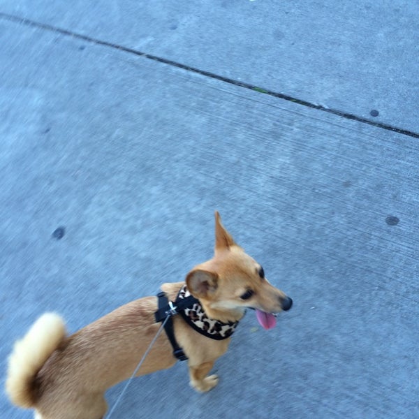 Critter Beach Pet Store in Rehoboth Beach