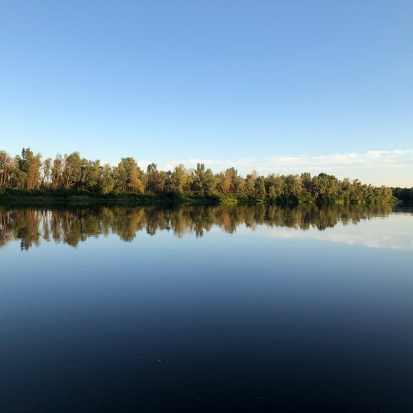 Коньяк шустов. Река десна трубчевск. Сообщение о реке десне. Пищепромиздат 1955 коньяки. Десна 4.