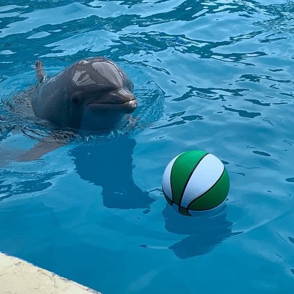 1/13/2020 tarihinde Brad L.ziyaretçi tarafından Miami Seaquarium'de çekilen fotoğraf