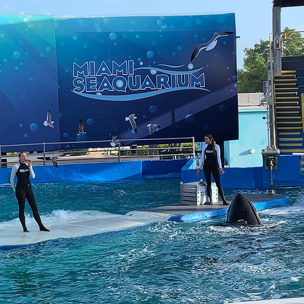 Photo taken at Miami Seaquarium by Brad L. on 1/13/2020