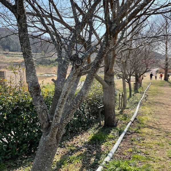 厳島湿生公園 Park In 足柄上郡中井町