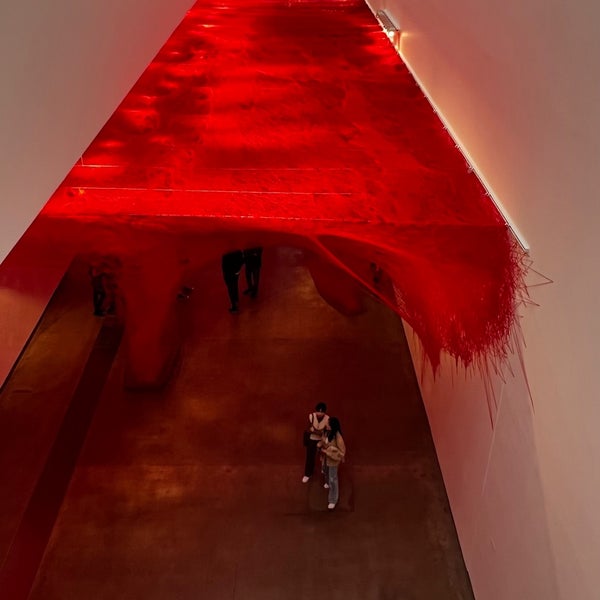 8/27/2022にClaire .がGallery of Modern Art (GOMA)で撮った写真