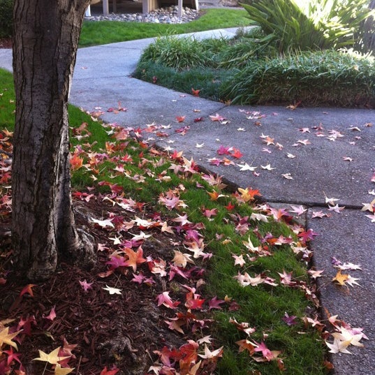 Photo taken at Residence Inn Sunnyvale Silicon Valley II by TS on 10/27/2012
